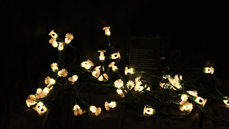 Battery Powered LED String Lights