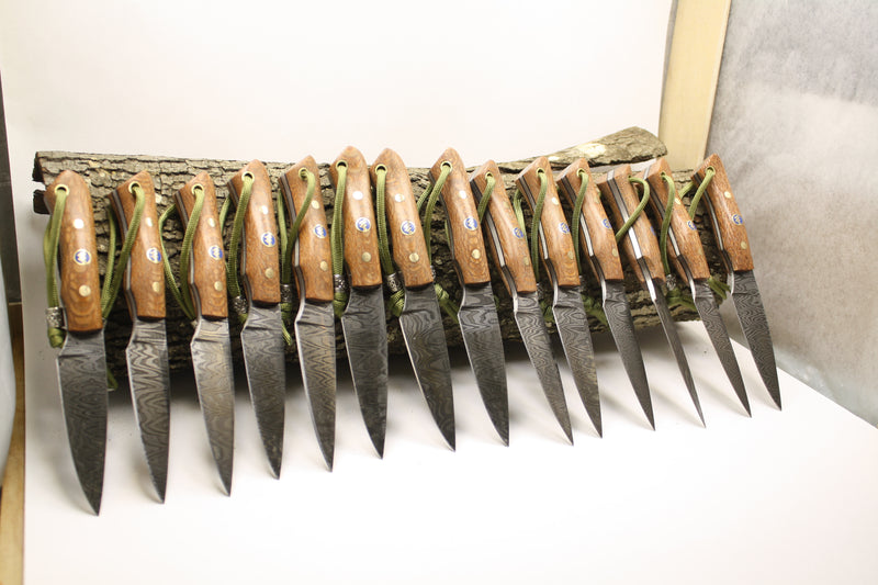 Fourteen custom Damascus neck knives commissioned as gifts for inspectors at a local life safety company, featuring leopardwood handles, brass pins, blue logo pins, and green paracords, displayed leaning against bark for presentation